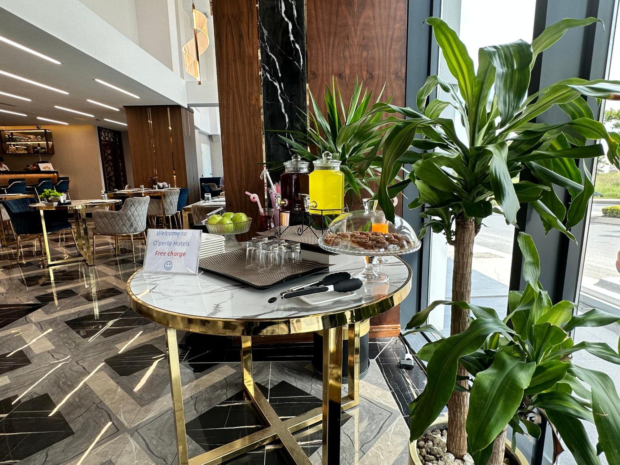 Trademark Collection By Wyndham Operla Airport Hotels Arnavutkoy Exterior foto